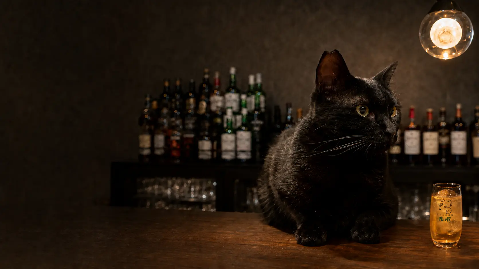 またたび酒場ルポの黒猫とロゴ入りウイスキーグラス
